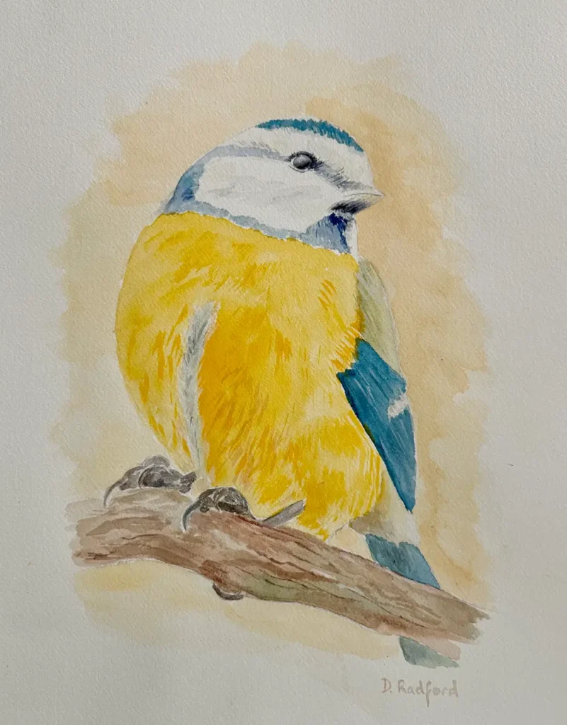 Blue Tit