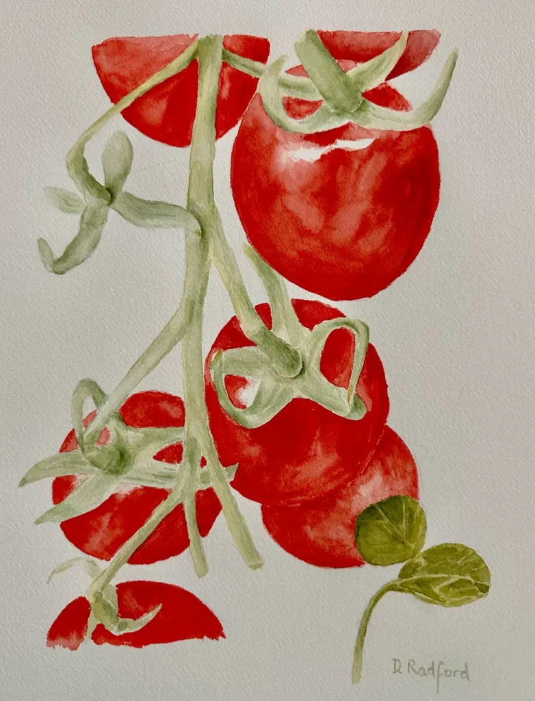 Tomatoes on the Vine