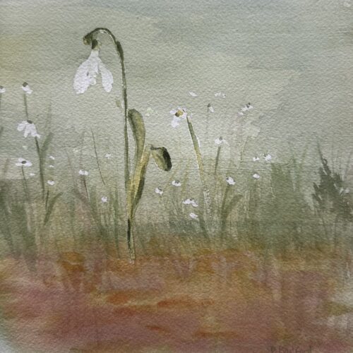 watercolor painting of snowdrop flowers